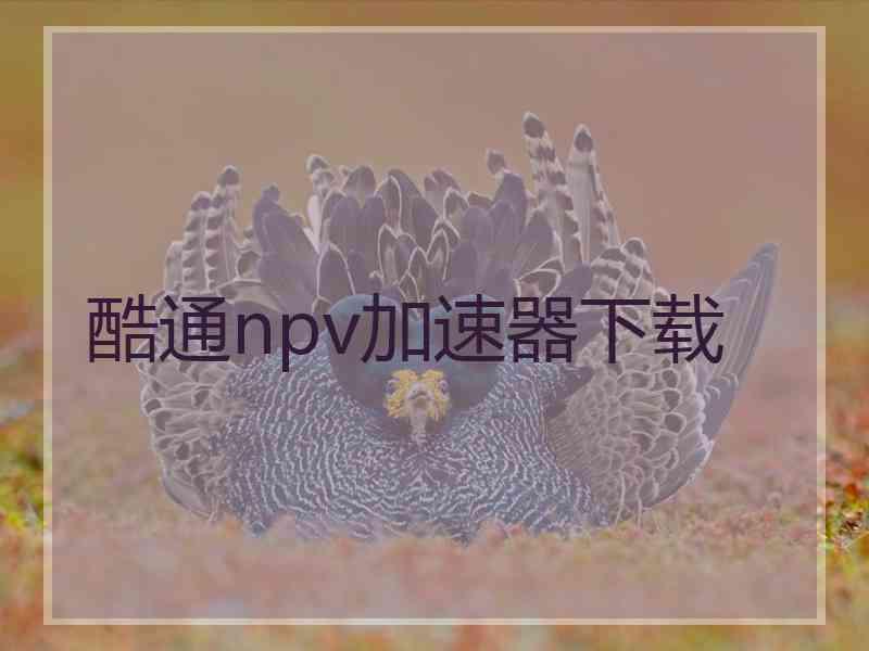 酷通npv加速器下载