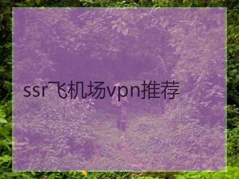 ssr飞机场vpn推荐