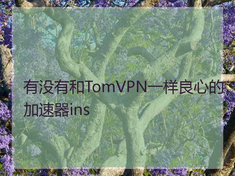 有没有和TomVPN一样良心的加速器ins