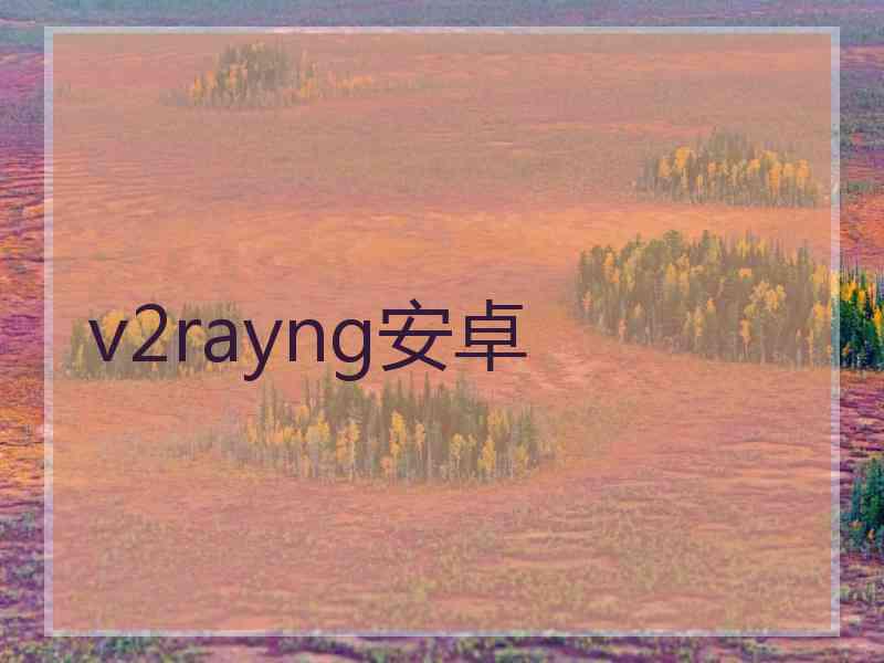 v2rayng安卓