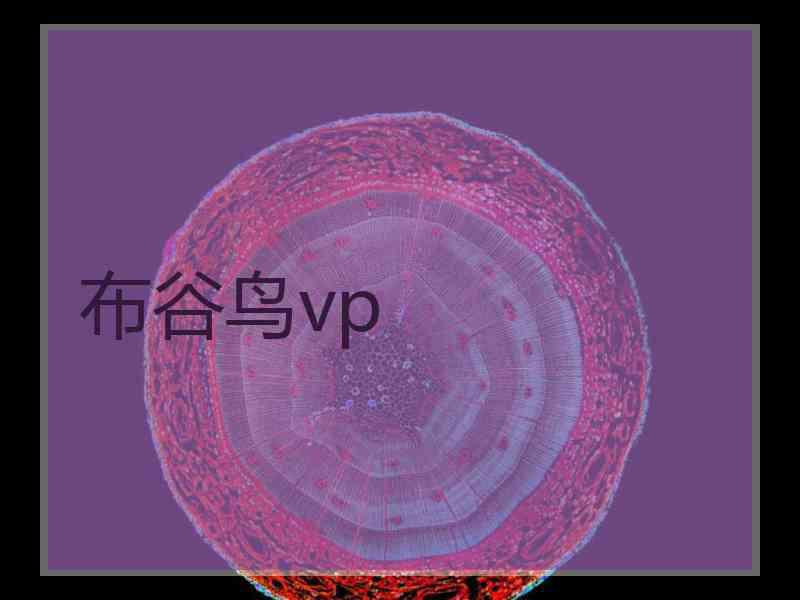 布谷鸟vp