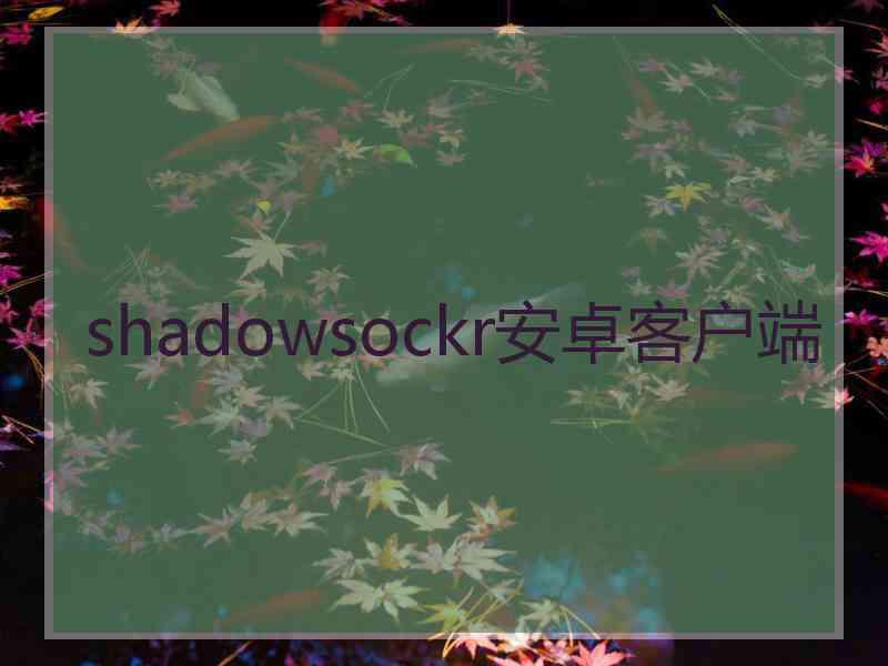 shadowsockr安卓客户端