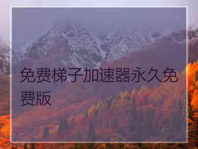 免费梯子加速器永久免费版