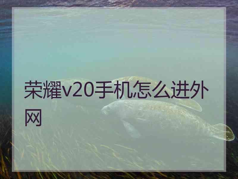 荣耀v20手机怎么进外网