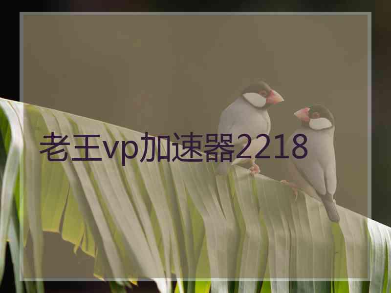 老王vp加速器2218