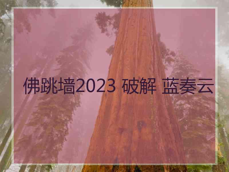 佛跳墙2023 破解 蓝奏云