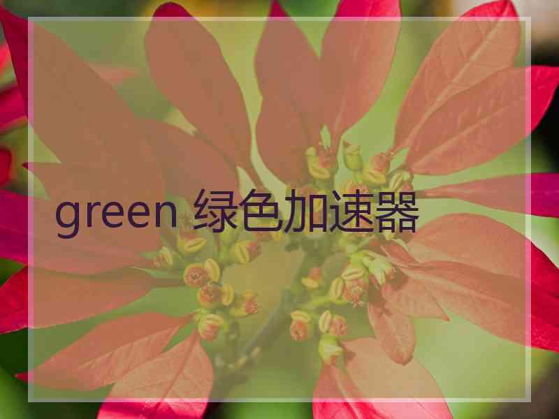 green 绿色加速器