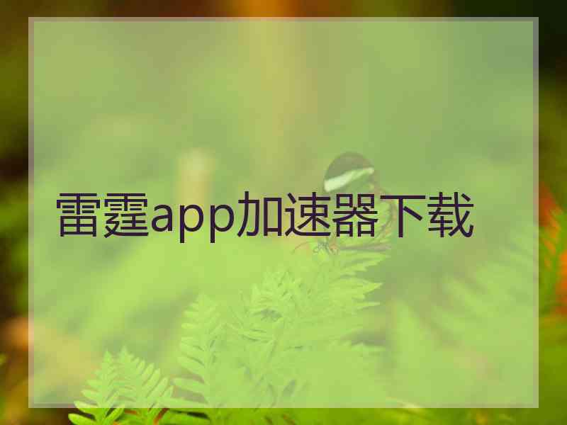 雷霆app加速器下载