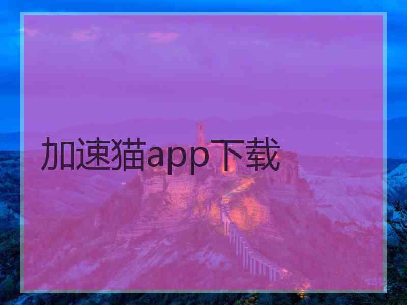 加速猫app下载