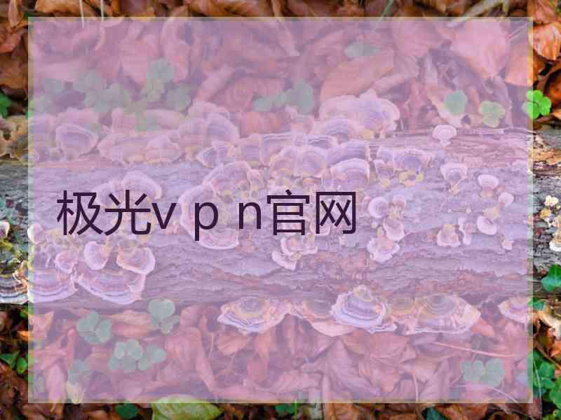 极光v p n官网