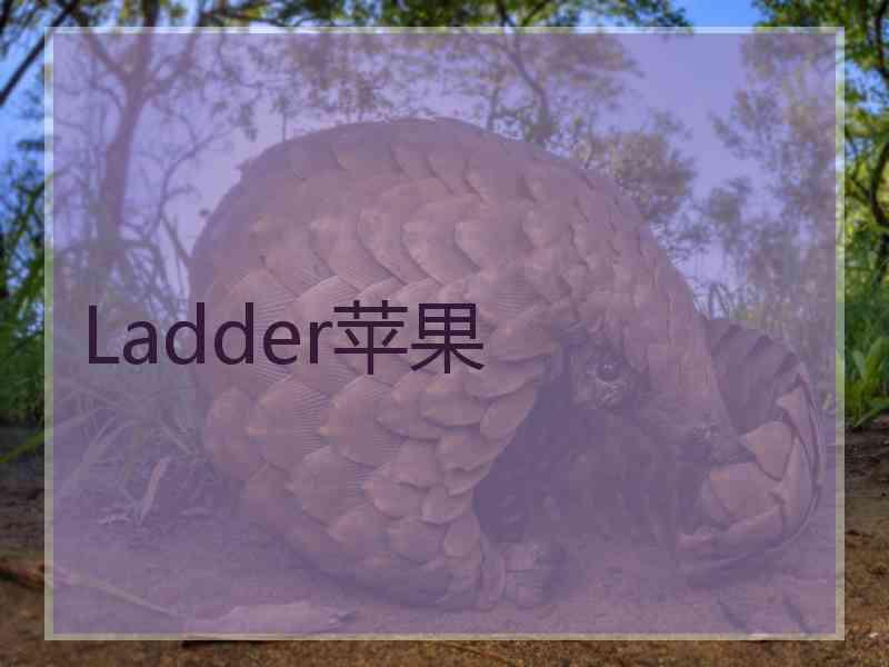 Ladder苹果