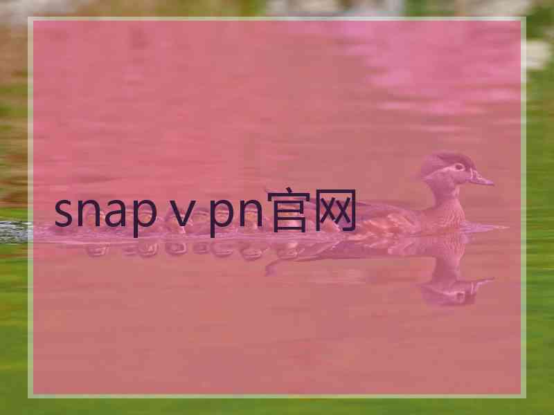 snapⅴpn官网