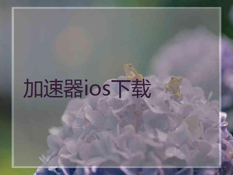 加速器ios下载