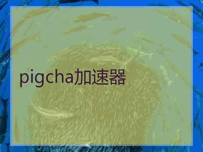 pigcha加速器